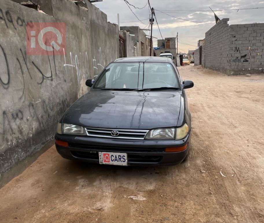 تويوتا كورولا